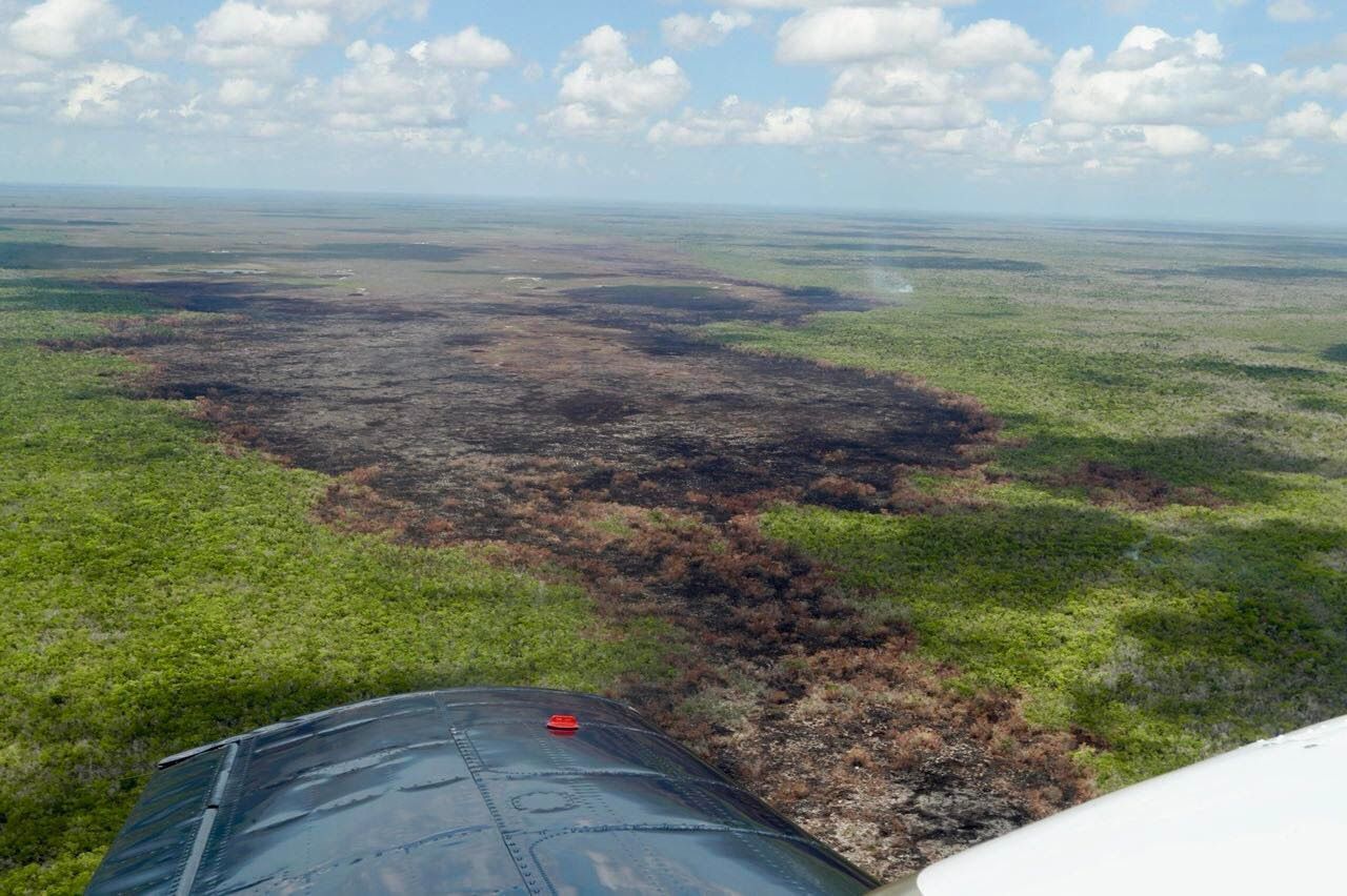 Avanza al 45 por ciento control de incendio forestal “Muyil”