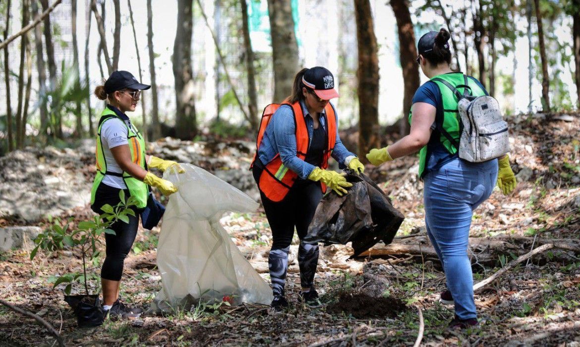 Organiza gobierno de Puerto Morelos jornada de reforestación y limpieza
