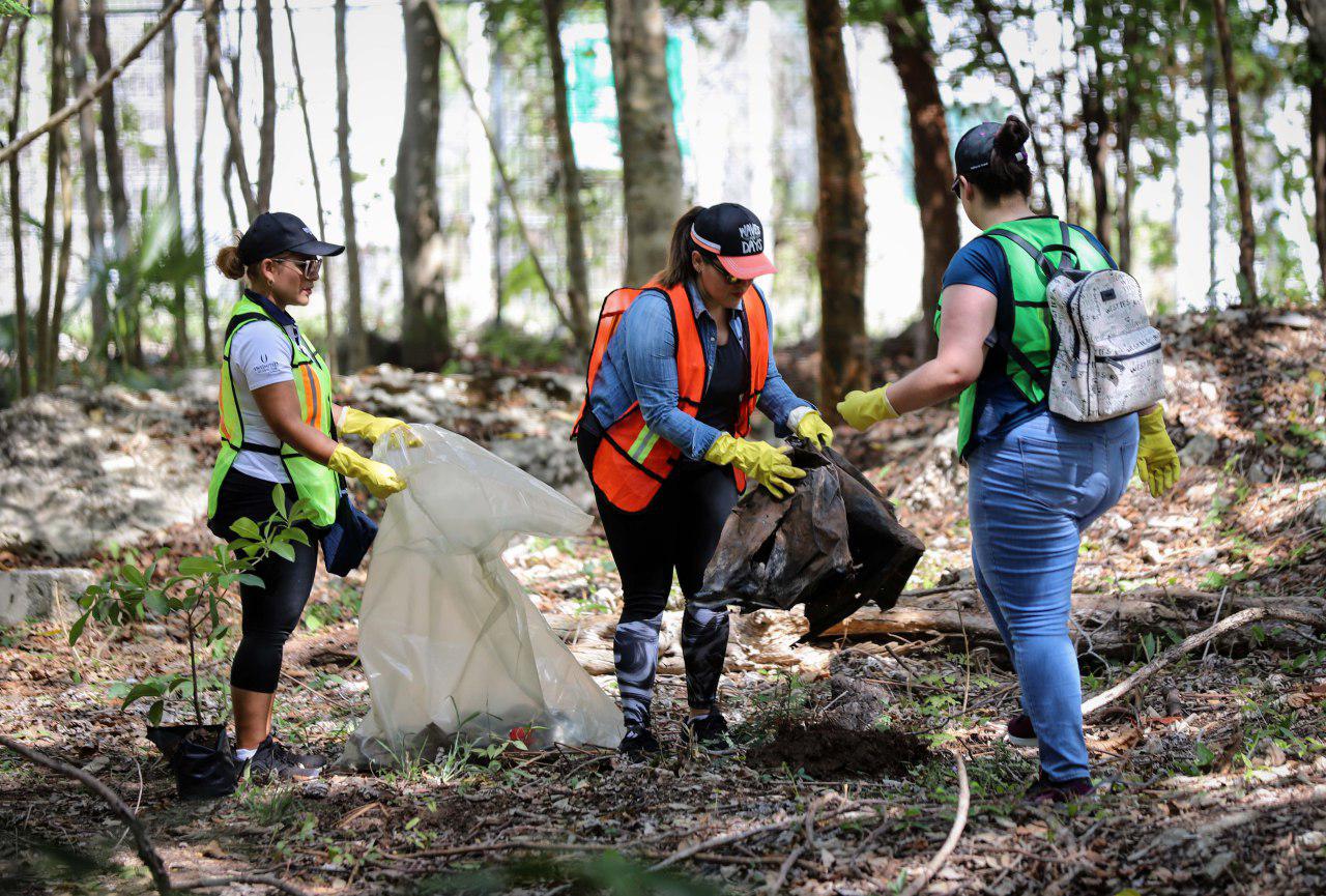 Organiza gobierno de Puerto Morelos jornada de reforestación y limpieza