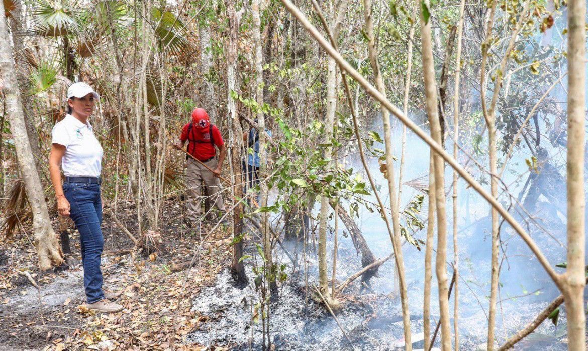 Conatos de incendios forestales en Puerto Morelos no representan peligro para la población, anuncia Gobierno municipal
