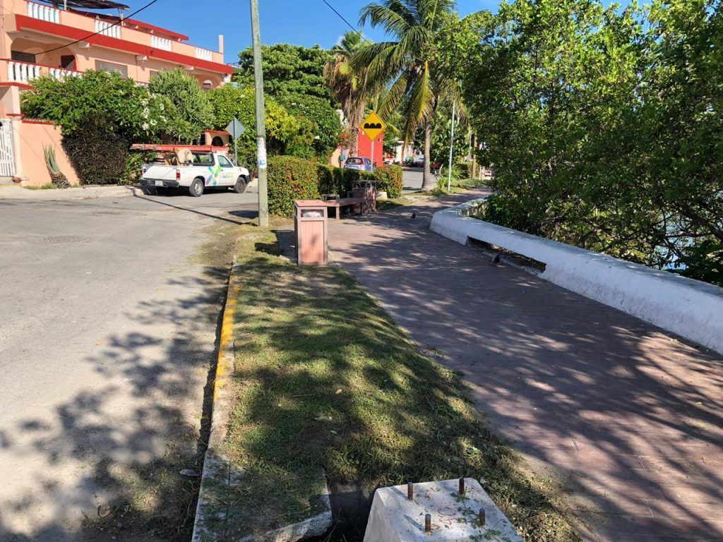 Realizan limpia de parques y jardines en Isla Mujeres