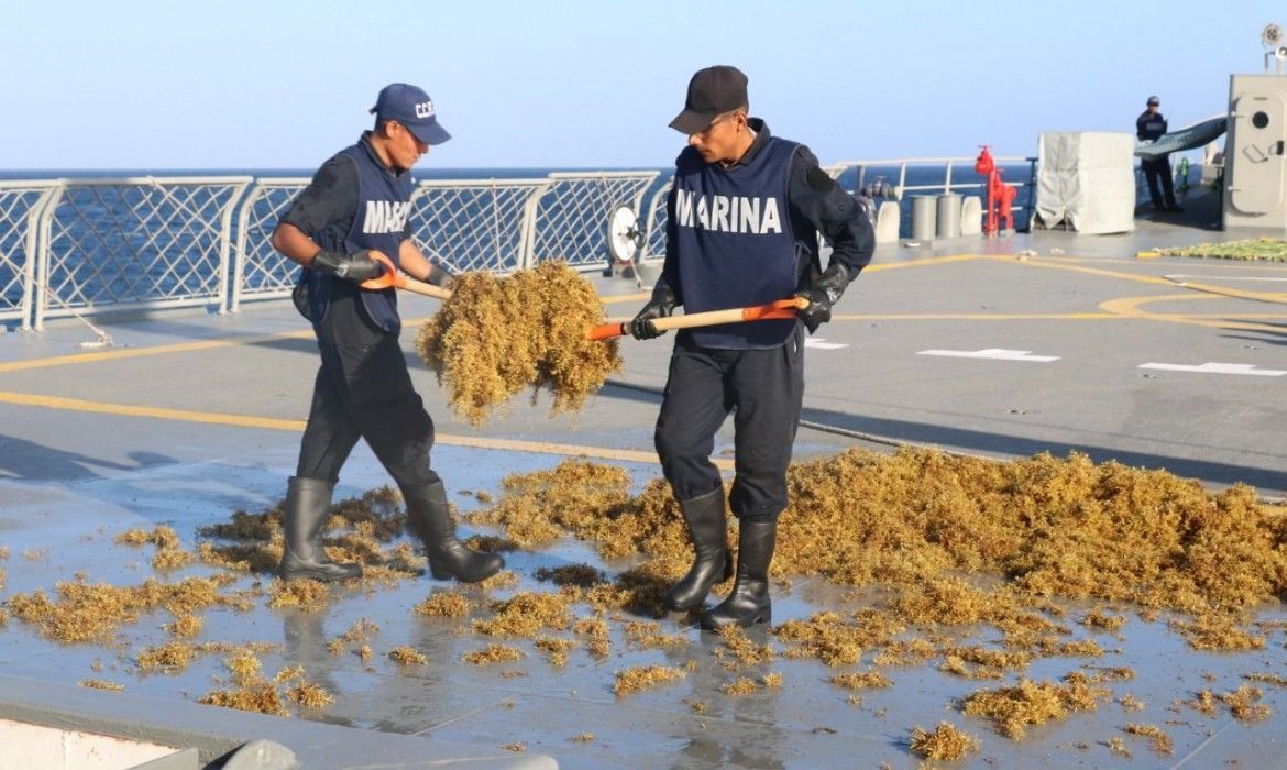 No esperan recale masivo de sargazo en febrero
