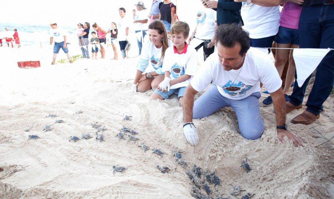Primera Liberación de Crías de Tortuga Marina del año en Cozumel
