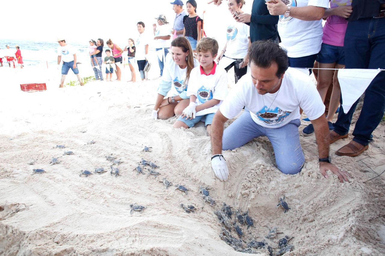 Primera Liberación de Crías de Tortuga Marina del año en Cozumel