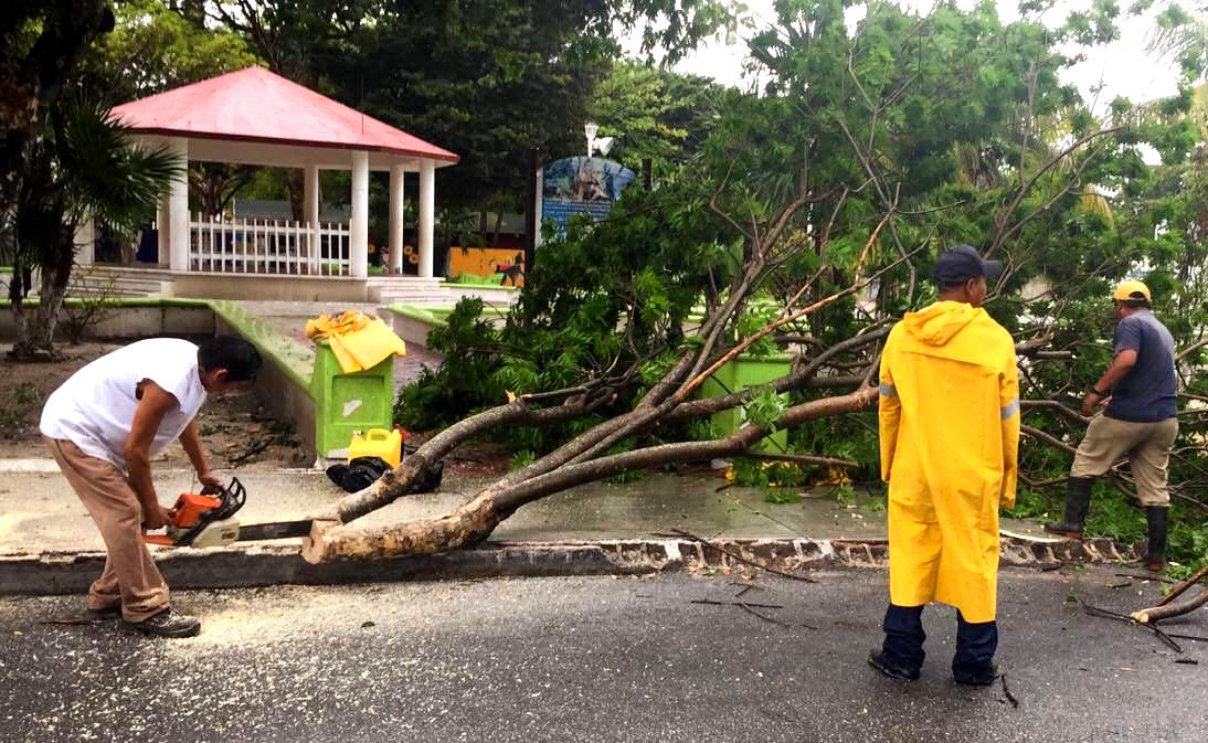 Atienden contingencia por lluvia en Puerto Morelos, y activan “Operativo Tormenta”