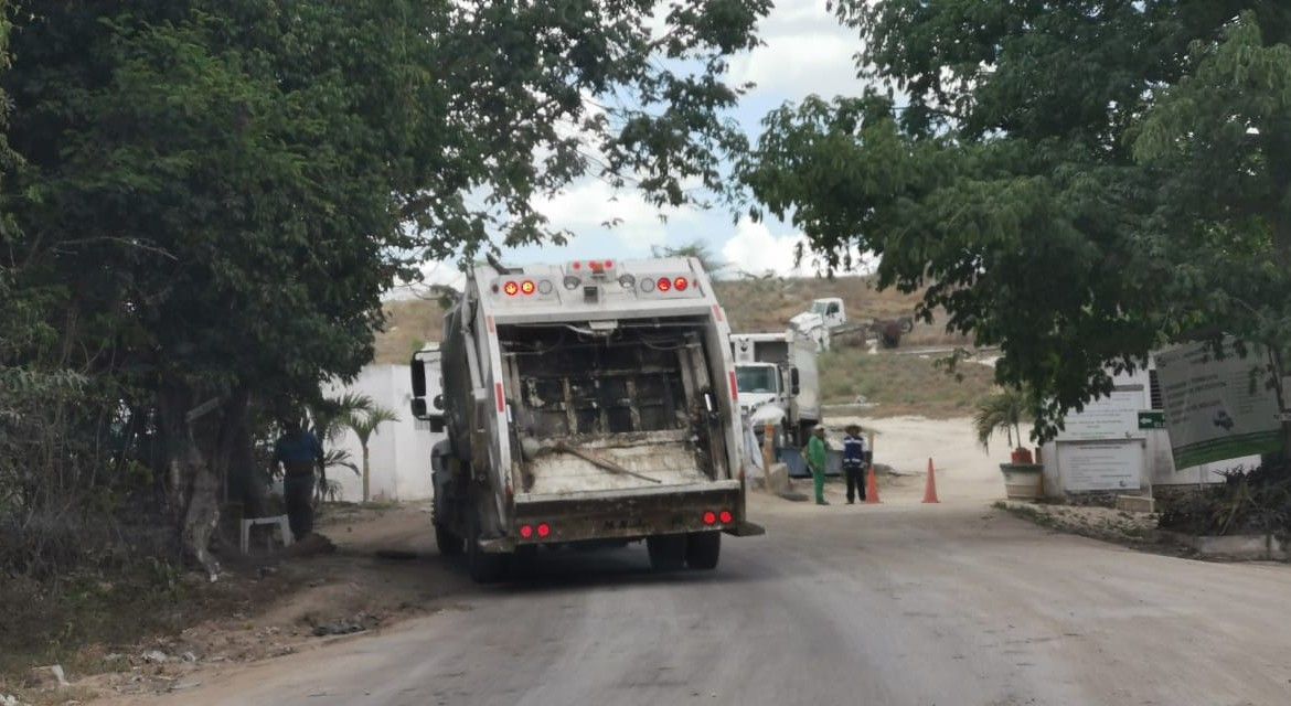 En Solidaridad defienden contrato con PASA | No es ilegal, porque sólo es por renta de camiones, aseguran