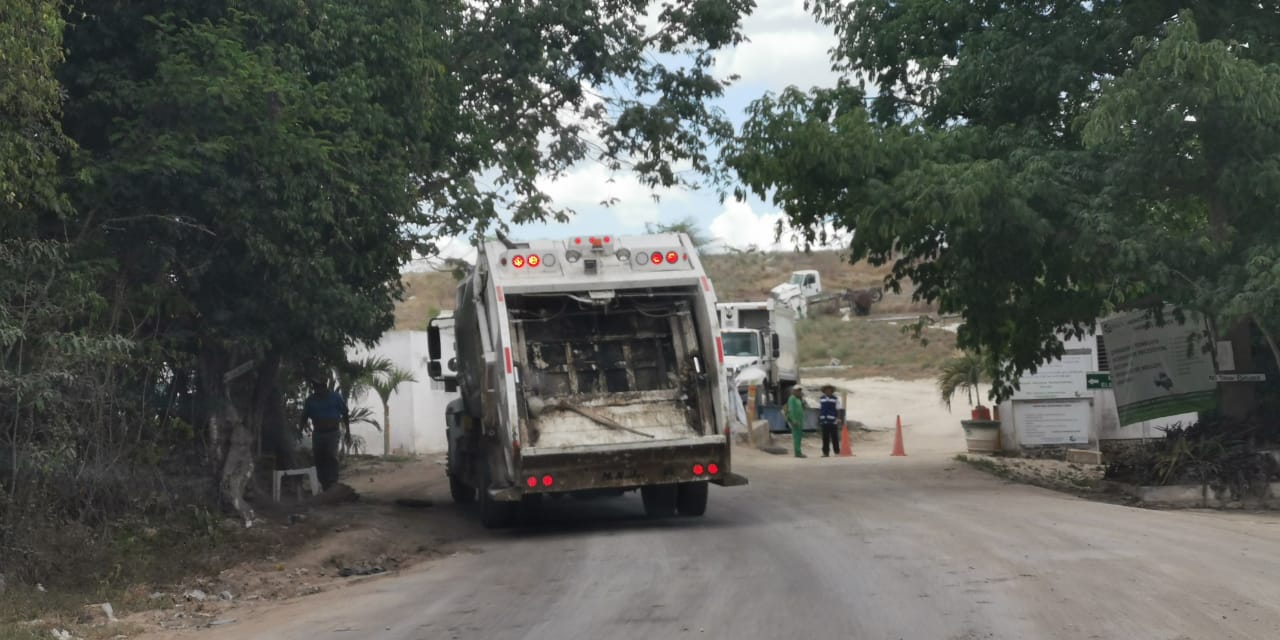 En Solidaridad defienden contrato con PASA | No es ilegal, porque sólo es por renta de camiones, aseguran