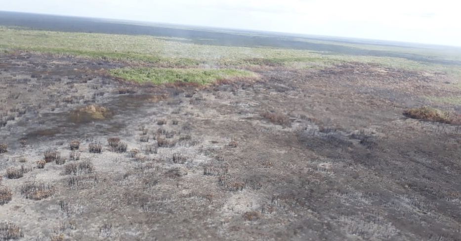 El incendio de Sian Ka’an consumió 3100 hectáreas; ya está extinguido