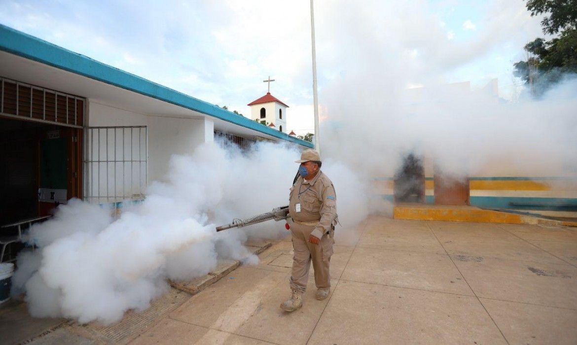 Intensifican campaña de fumigación en Puerto Morelos