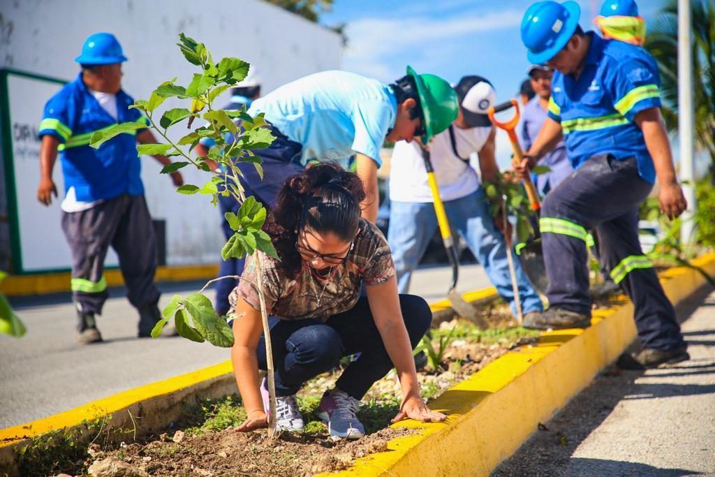 ISLA MUJERES | Reforestan ayuntamiento, familias y empresas por una isla Verde