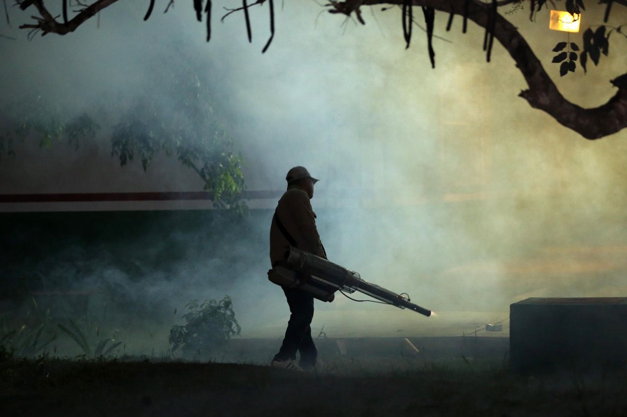 COZUMEL | Implementan programas “Lotes sin Dengue” y “Eliminación de Criaderos de Mosquitos”