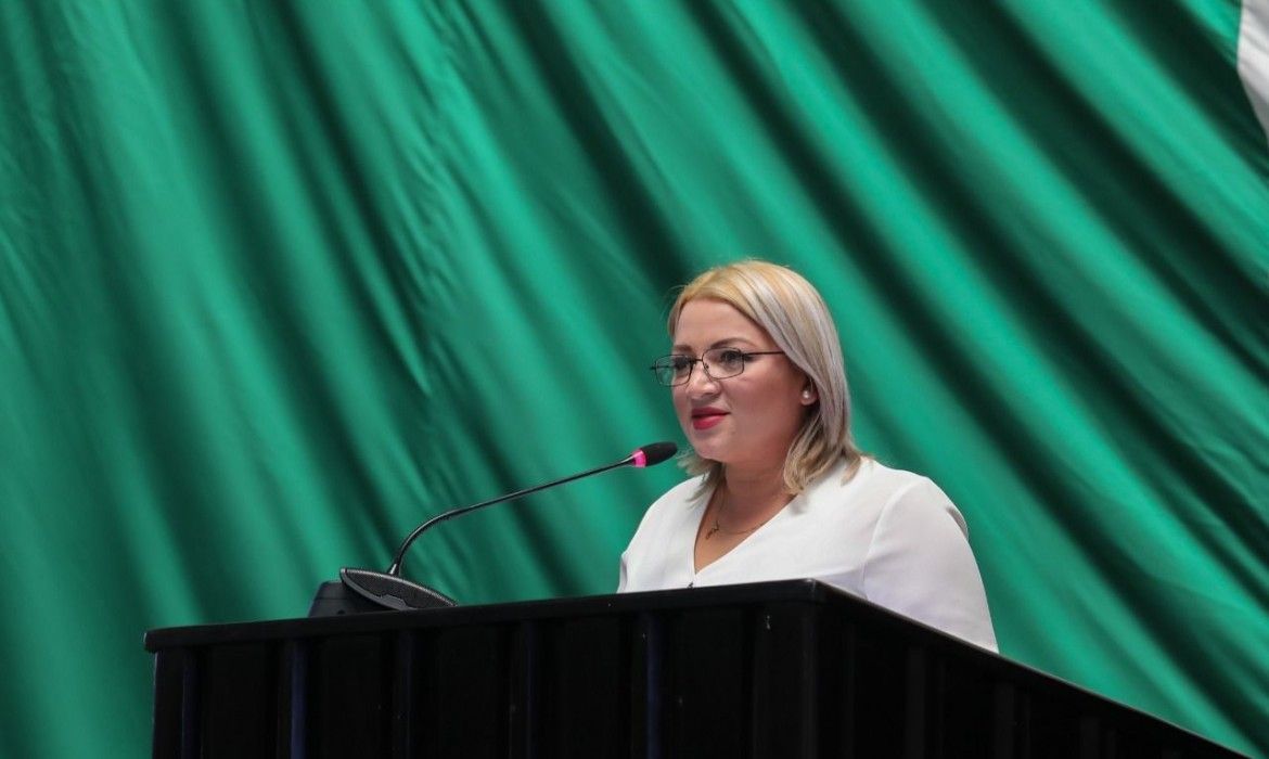 “No es una ley pro taxista ni para darle el control a los transportistas” | Defiende Erika Castillo iniciativa de reforma a Ley de Movilidad