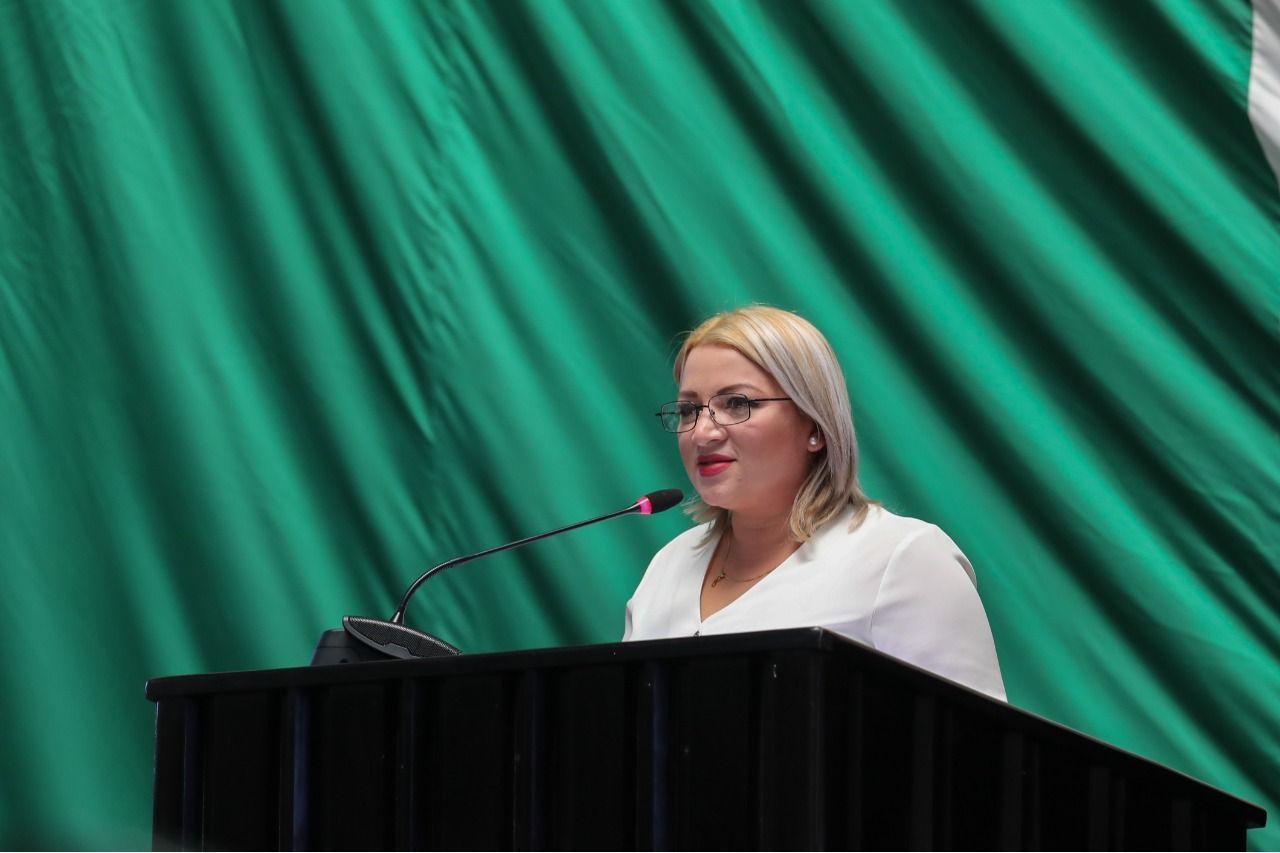 “No es una ley pro taxista ni para darle el control a los transportistas” | Defiende Erika Castillo iniciativa de reforma a Ley de Movilidad