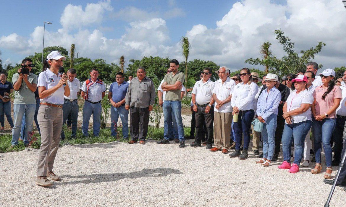 PUERTO MORELOS | Reforestan camellón central de la carretera federal