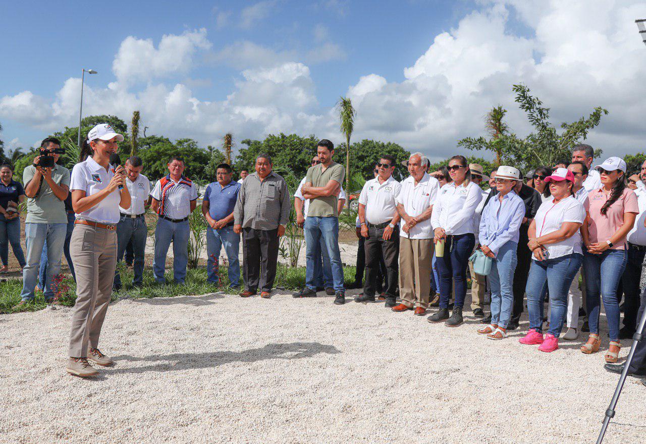 PUERTO MORELOS | Reforestan camellón central de la carretera federal