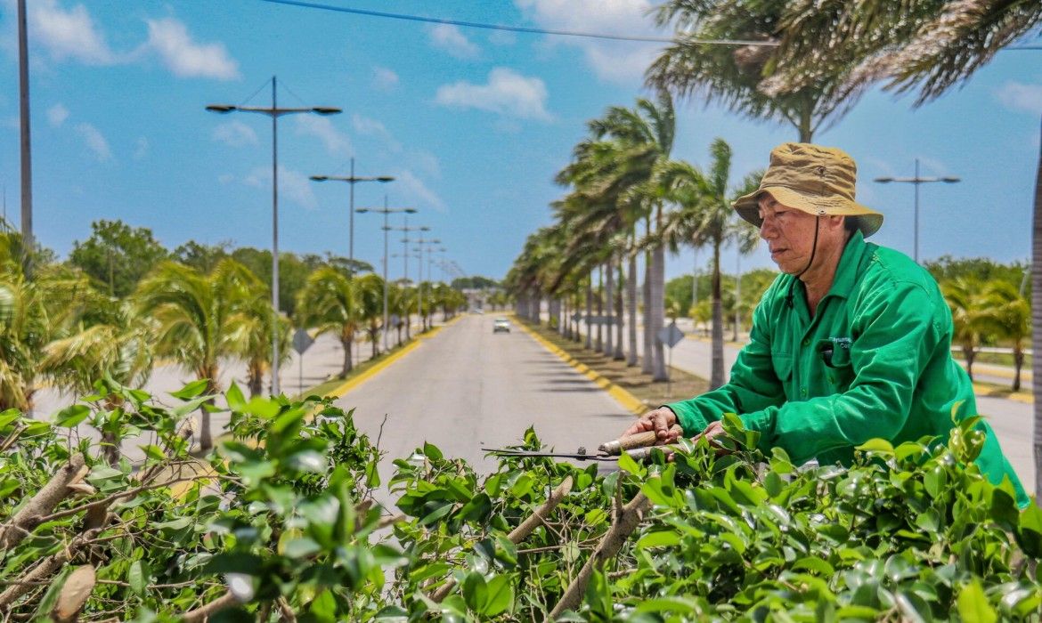 Pedro Joaquín dice que se han atendido más de un millón 200 mil metros cuadrados de parques y jardines en Cozumel
