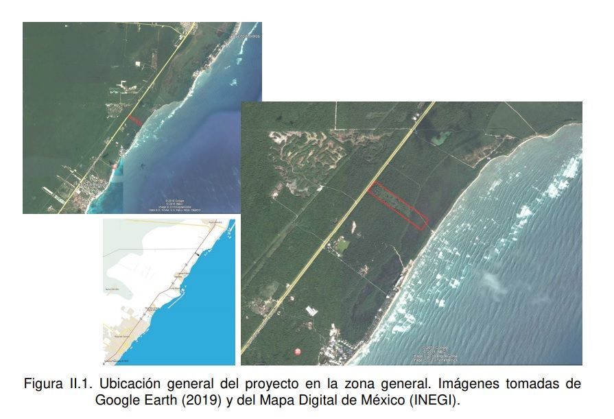 Quieren construir aeropista sobre manglar en Solidaridad