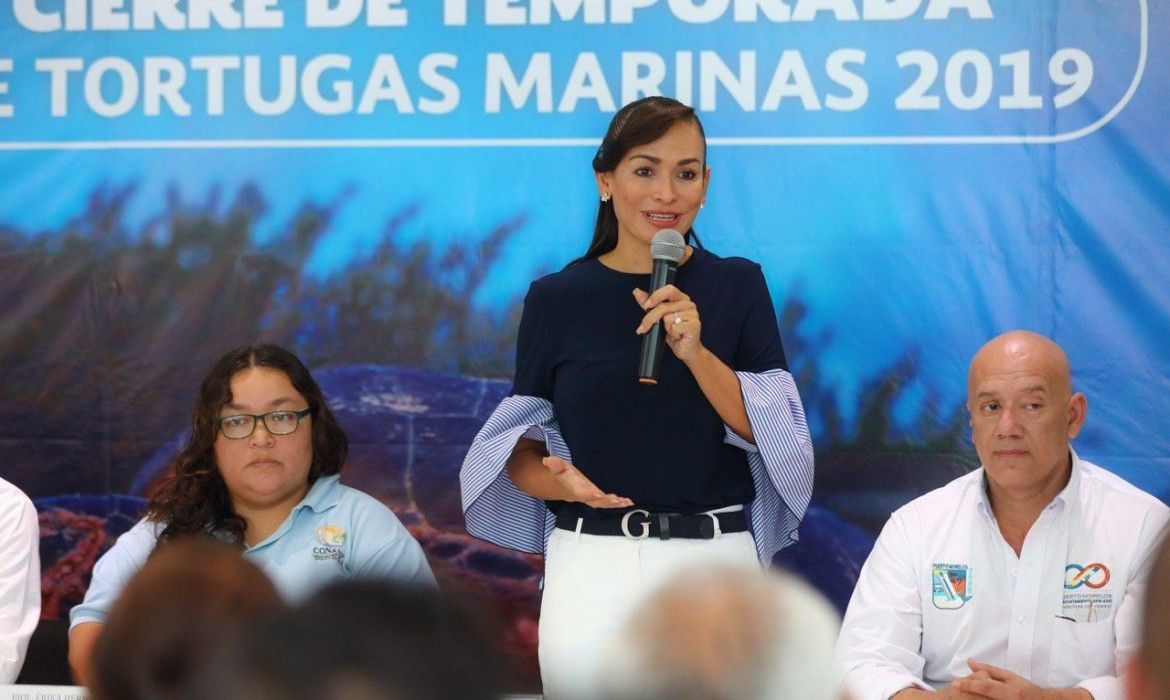 Se fortaleció en 2019 la cultura de protección de la tortuga marina en Puerto Morelos