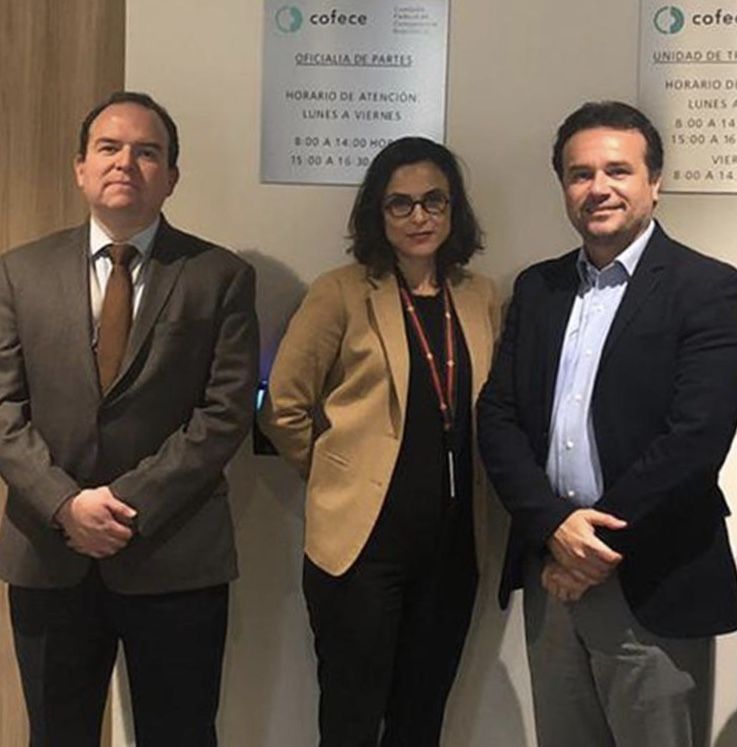 Se reúne Pedro Joaquín con titular de Cofece, por aumento en pasajes de navieras