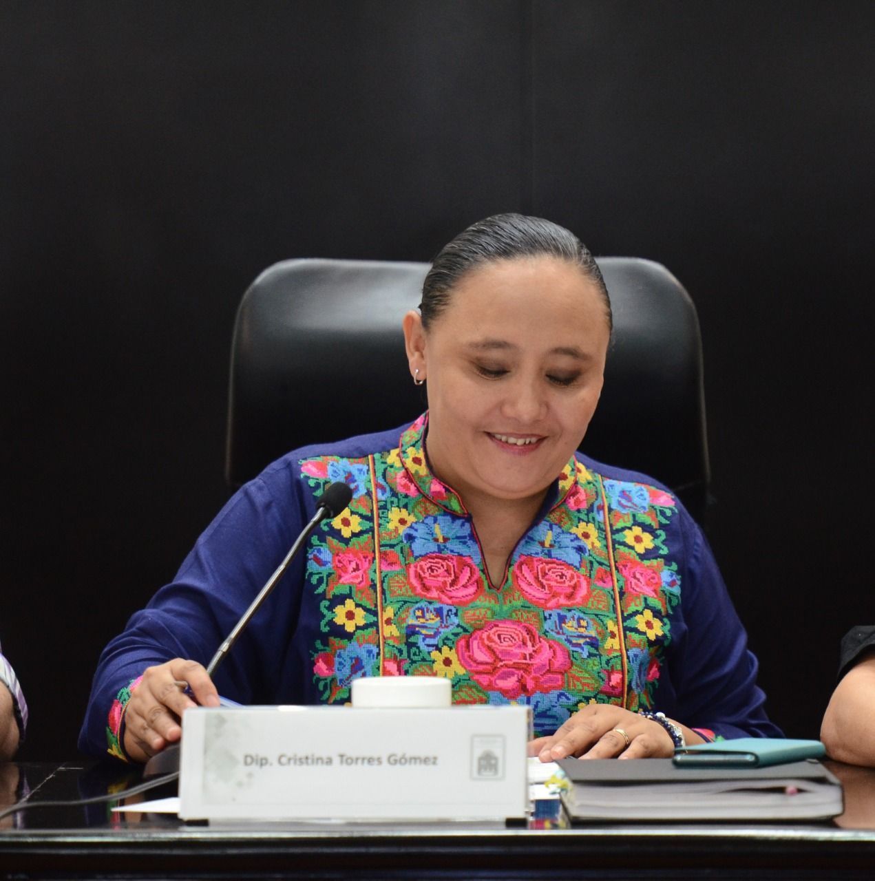 NO MÁS APROBAR SIN LEER | Proponen iniciativa para que diputados tengan información al menos 24 horas antes de las sesiones