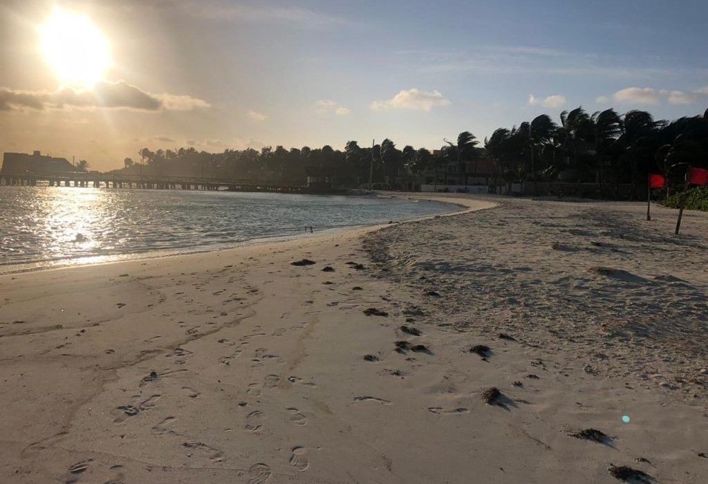 Principales playas de Isla Mujeres, libres de sargazo