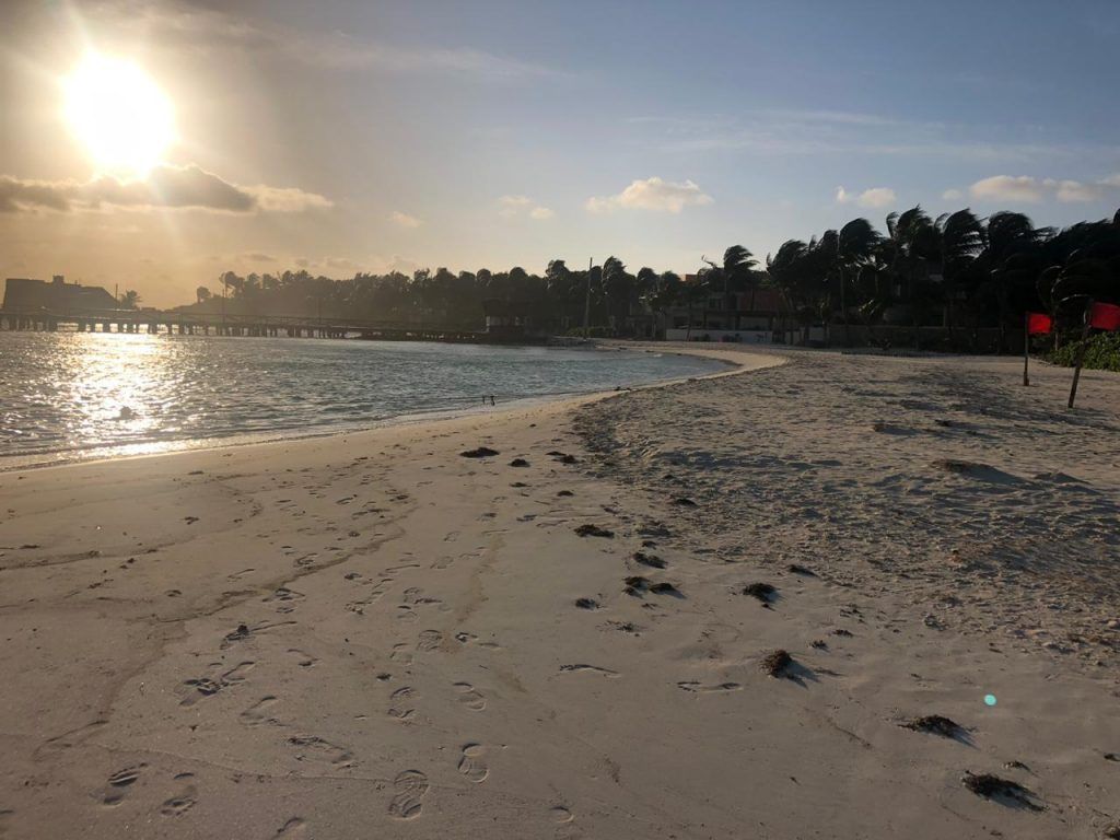 Principales playas de Isla Mujeres, libres de sargazo