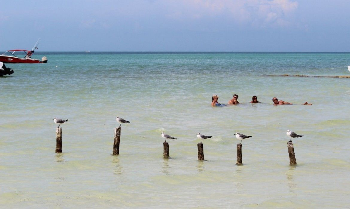 Tendrá Holbox desarrollo de 800 nuevos palafitos