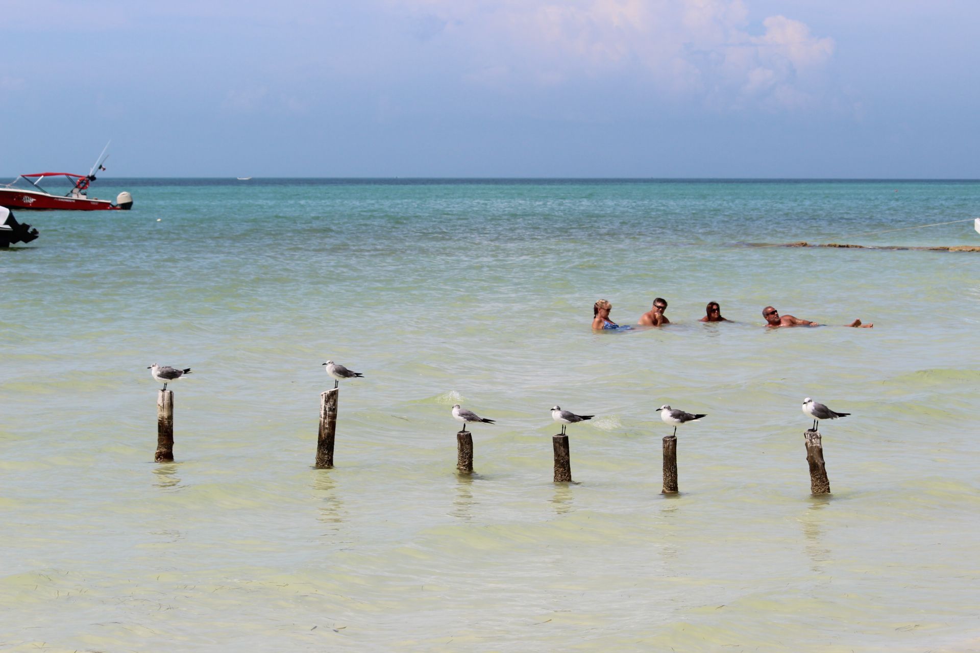 Tendrá Holbox desarrollo de 800 nuevos palafitos