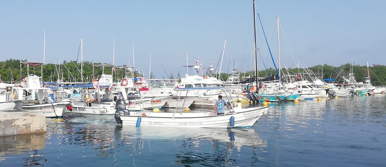 Apiqroo podría perder Marina en Cozumel