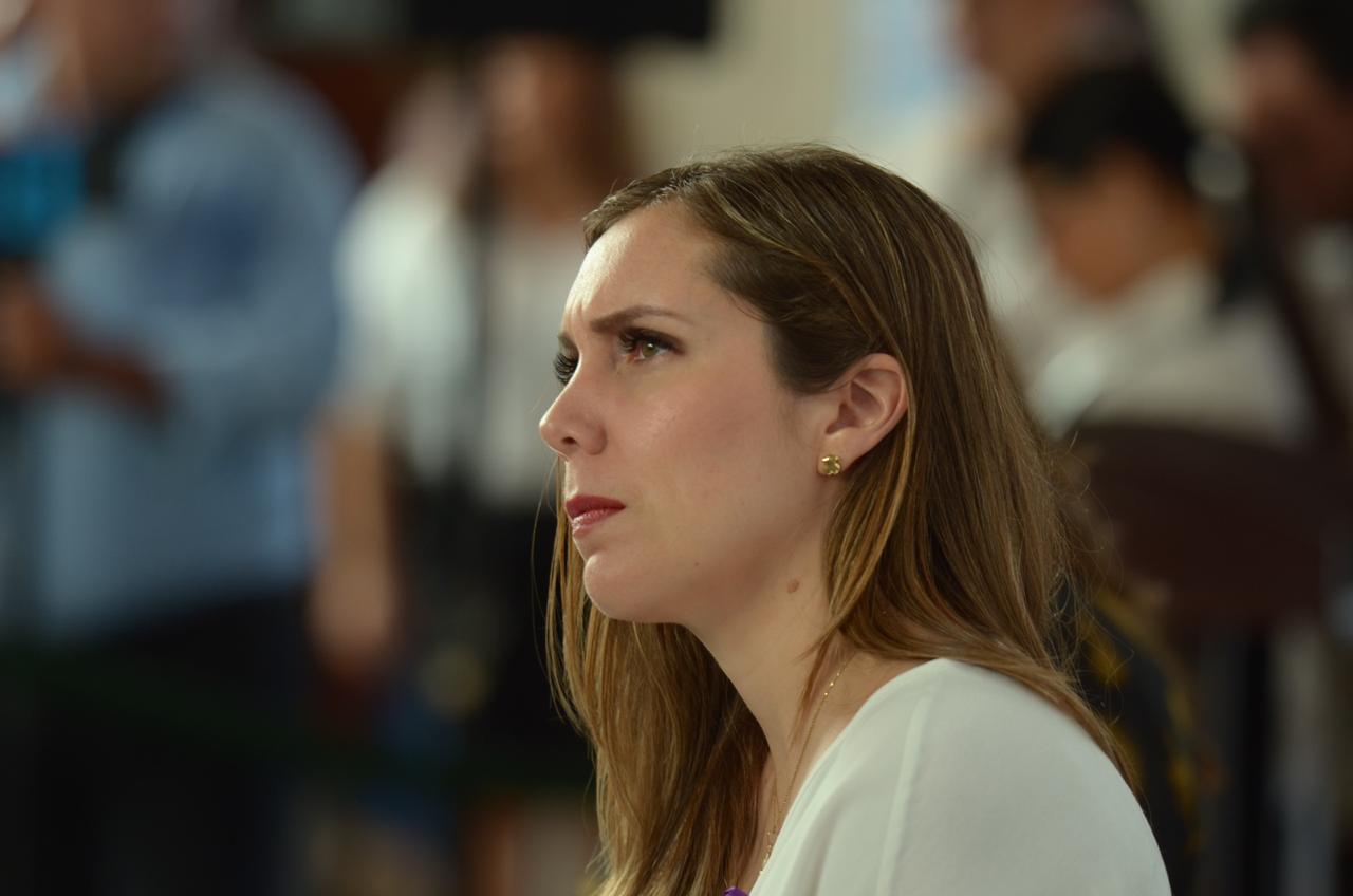 PAN pide mantener orden y legalidad en emergencia sanitaria, y cuidar que no se incremente la violencia intrafamiliar