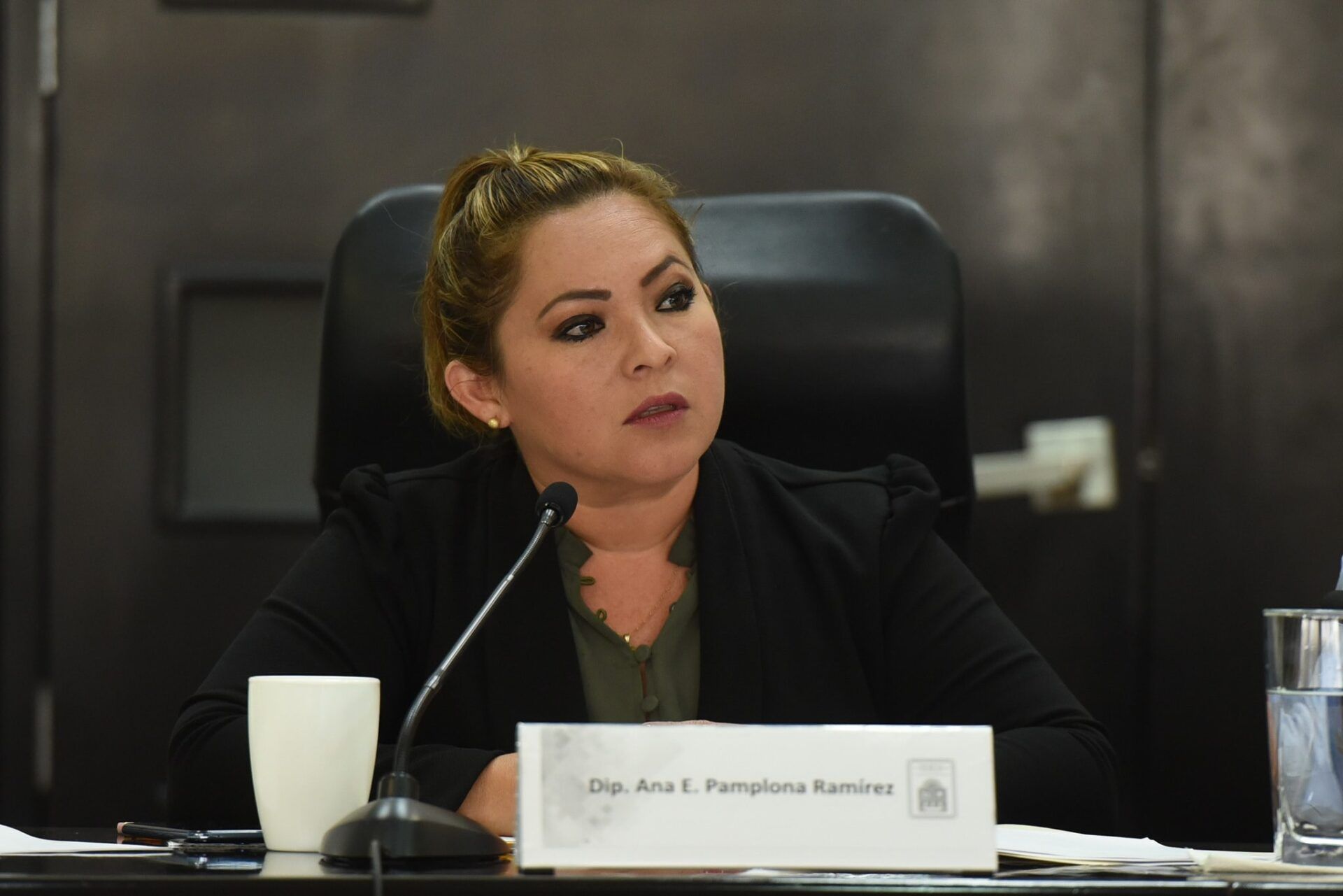 Ana Pamplona coordinará bancada del PT; será la tercera mujer en integrar la Jucopo