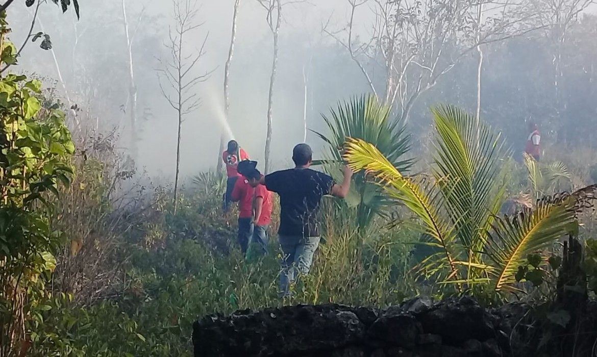 Laura Fernández pide a los ciudadanos prevenir incendios forestales; han habido 11 conatos en 10 días