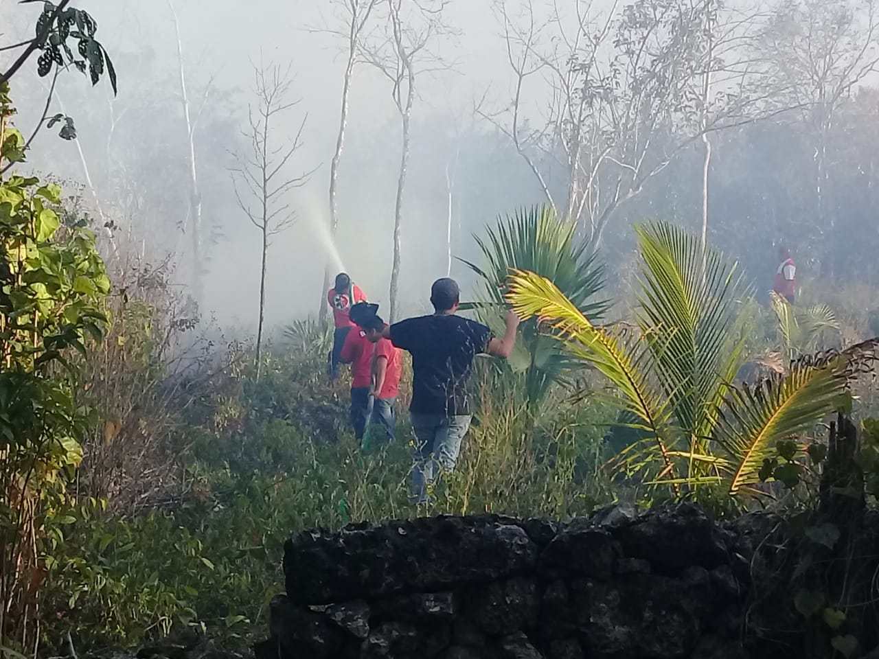 Laura Fernández pide a los ciudadanos prevenir incendios forestales; han habido 11 conatos en 10 días