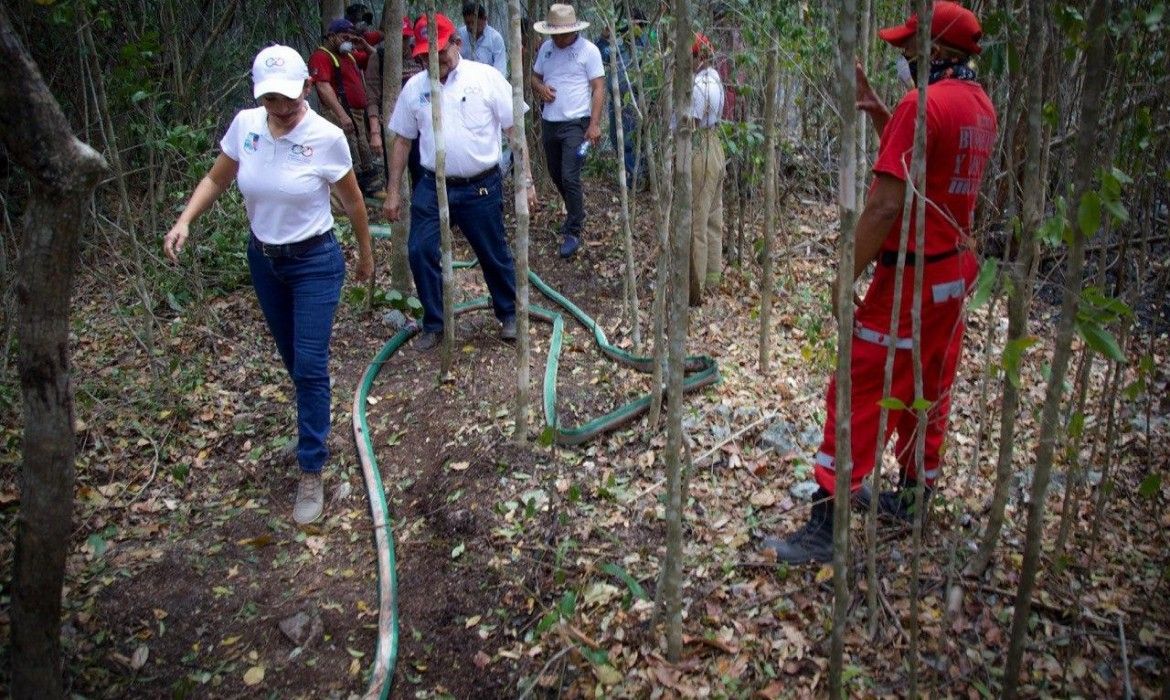 Combaten incendio forestal en la Ruta de los Cenotes
