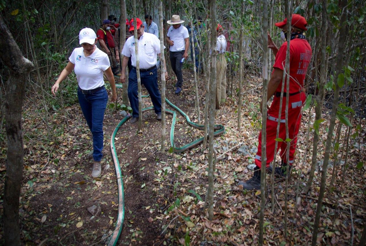 Combaten incendio forestal en la Ruta de los Cenotes