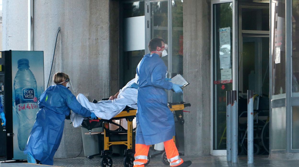 Mueren 18 personas por COVID-19 en un día en Cancún