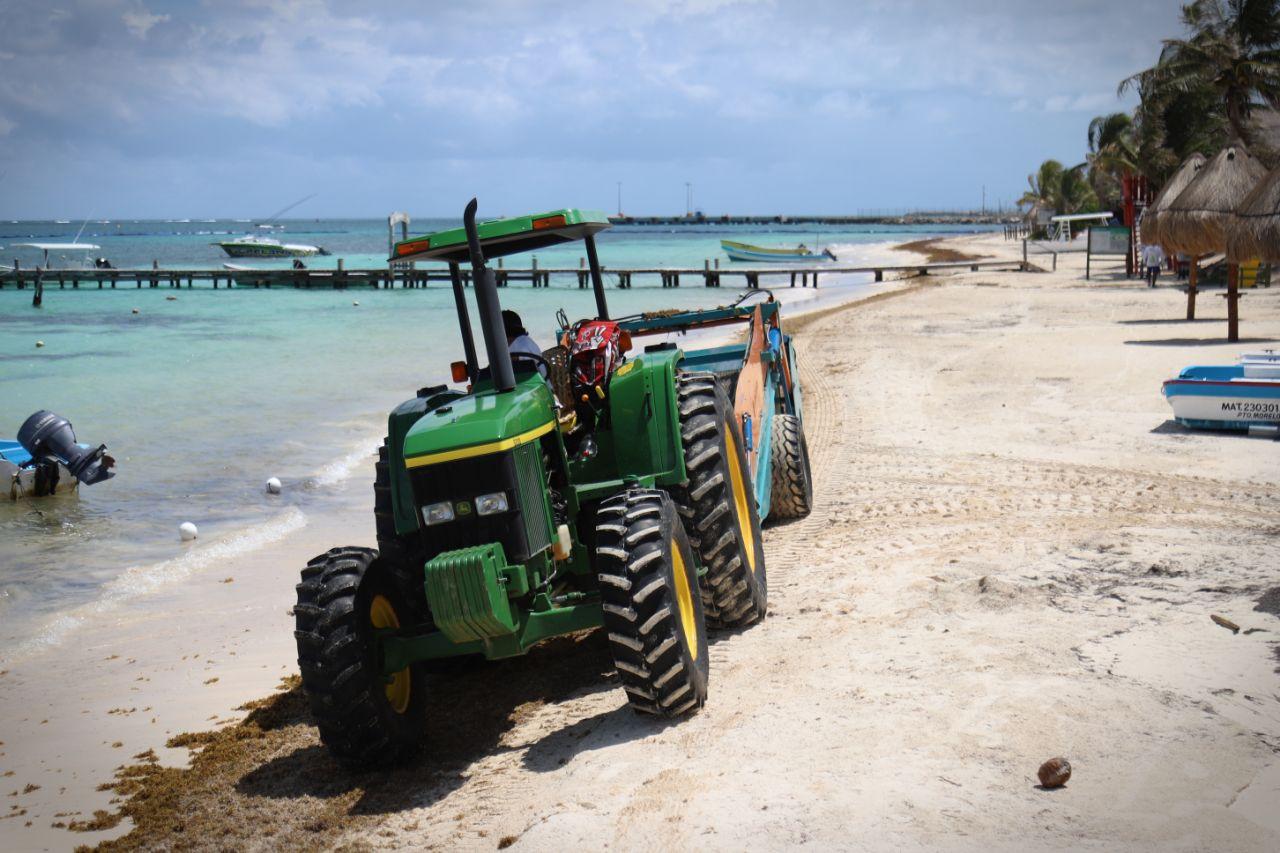 Instalan en Puerto Morelos 1200 metros lineales de barreras marinas para contener sargazo