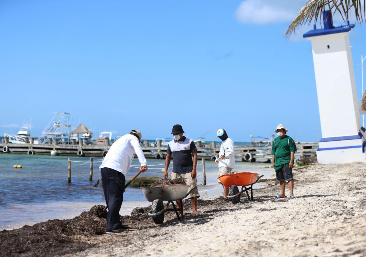 Incrementan brigadas para atender arribo de sargazo en Puerto Morelos