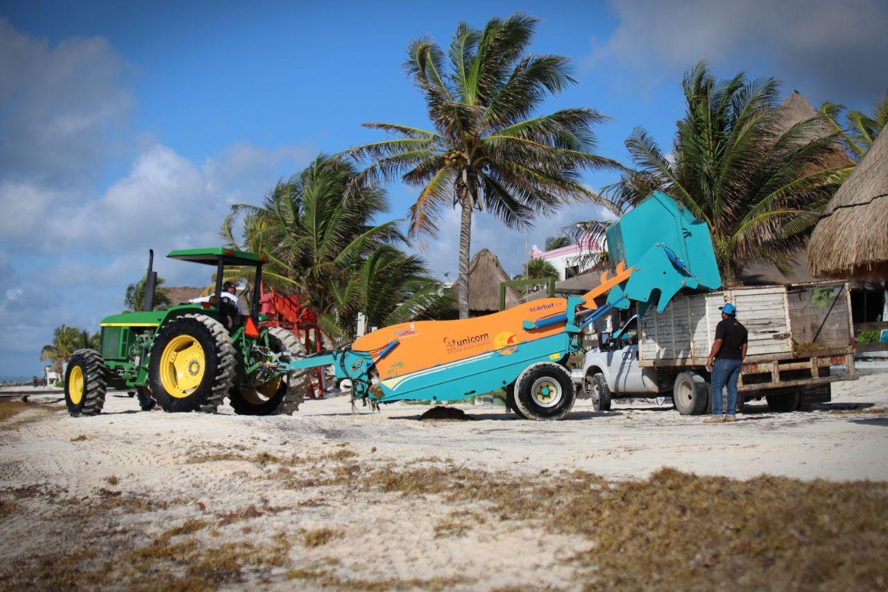 Traspasa Quintana Roo millonaria inversión a Gobierno Federal para atender recale de sargazo