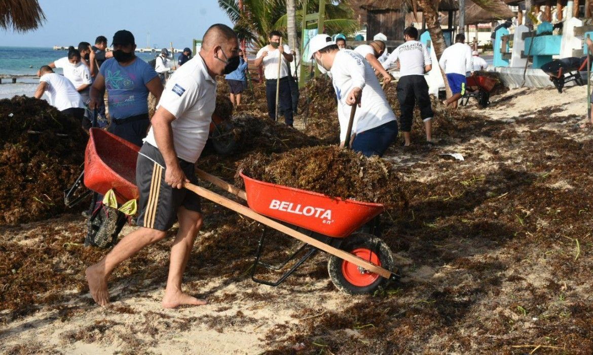 “Se retiraron 200 toneladas de sargazo de las costas de Puerto Morelos”: Laura Fernández
