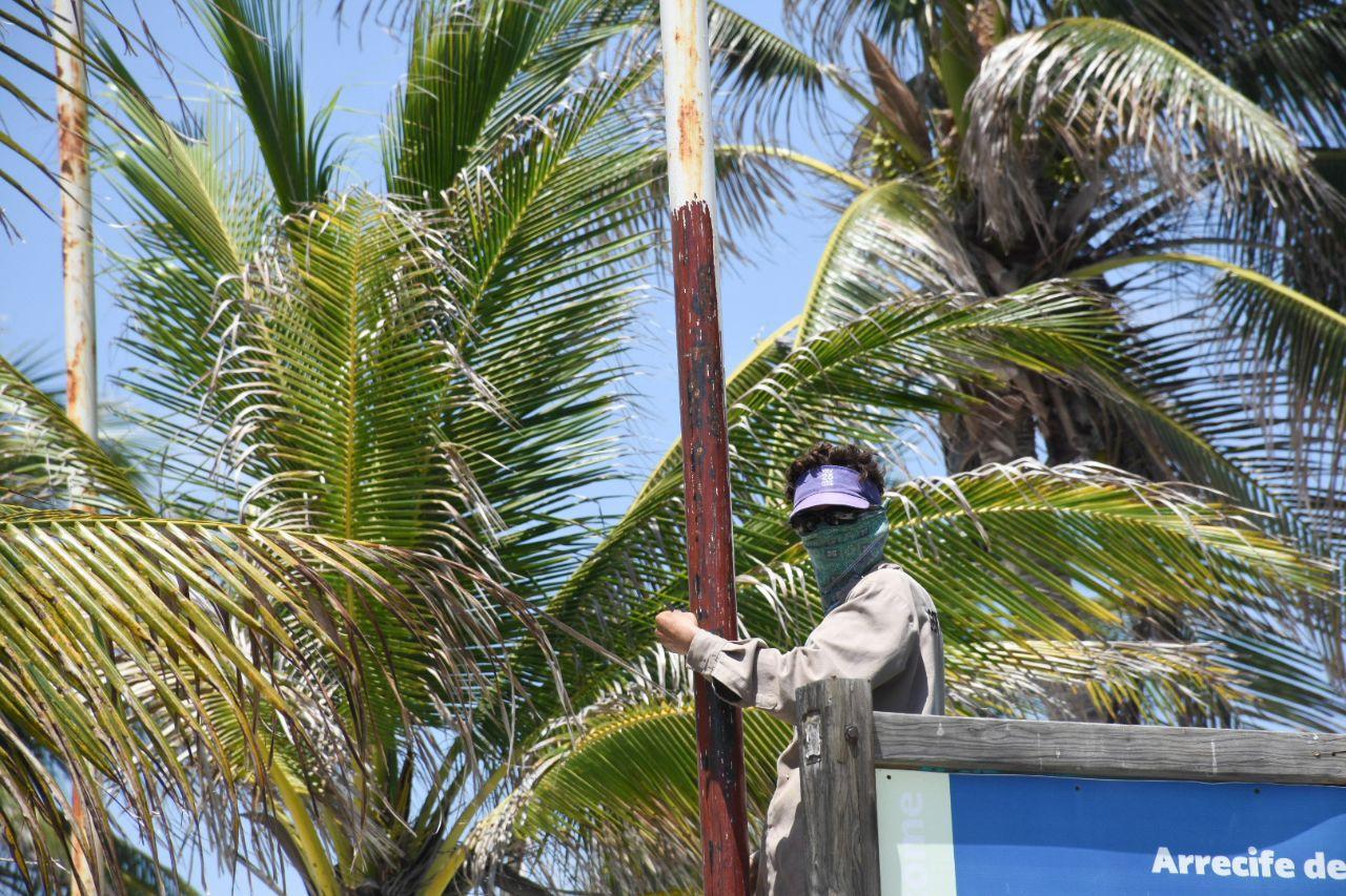 Dan mantenimiento al alumbrado público de la Ventana al Mar en Puerto Morelos