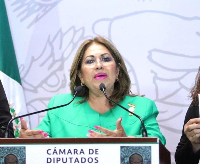 MÁS CHOQUES EN MORENA | Paty Palma va en contra de la nueva delegada del partido, mientras Gasca le da la bienvenida