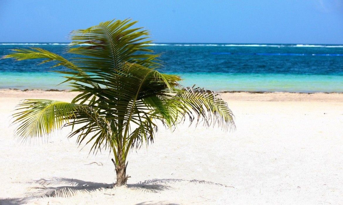 NO ARRANCA LA REACTIVACIÓN | En julio, Aeropuerto de Cancún operó 74% abajo que el año pasado