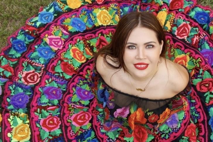 ¿Pone en riesgo MORENA el Distrito 2 con Anahí?