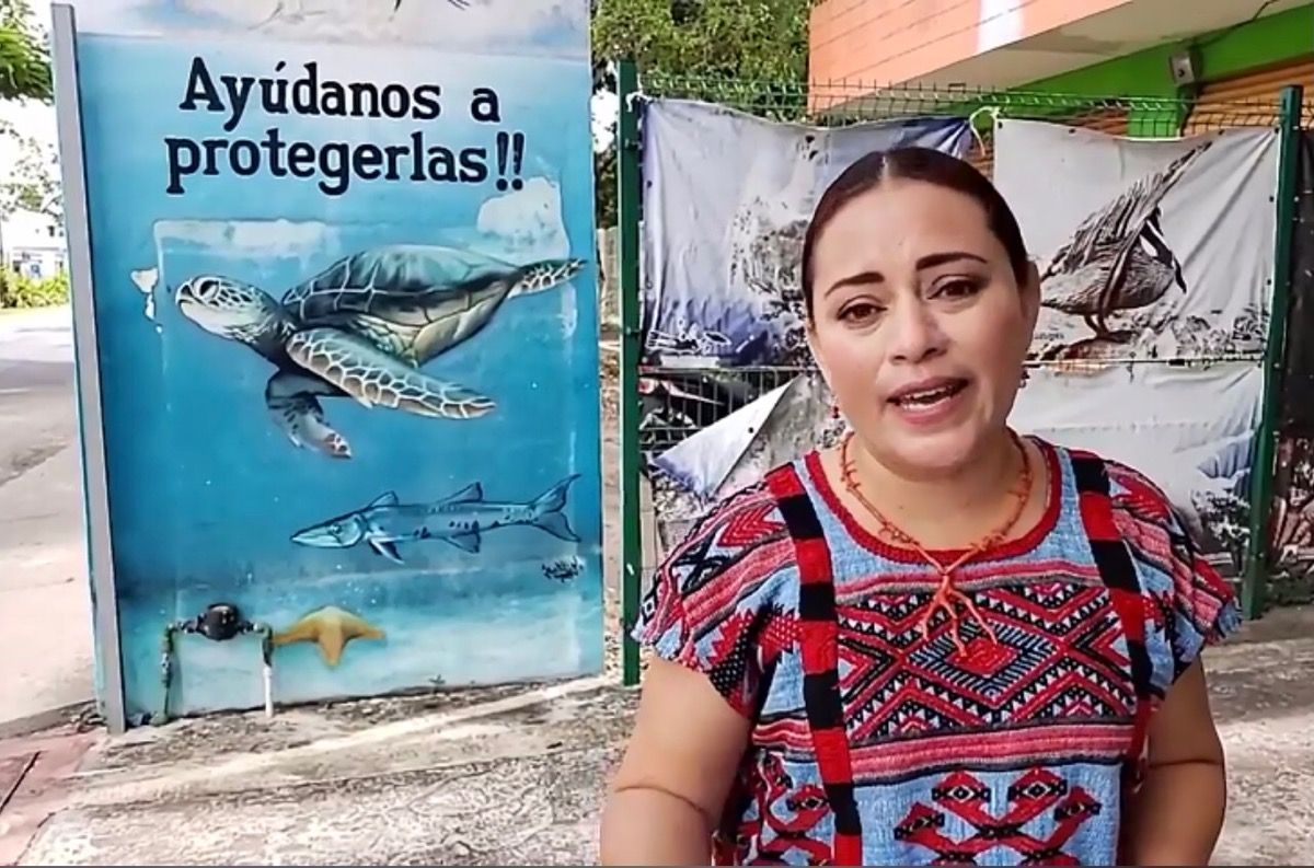 Anuncia Pedro Joaquín acuerdo de Cabildo contra proyecto turístico de Greg en Cozumel; Perla dice que no le informaron y convoca a marcha
