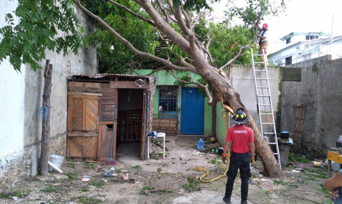 GAMMA | En Puerto Morelos hubo más de 200 llamadas por caídas de ramas o árboles, informó Laura Fernández