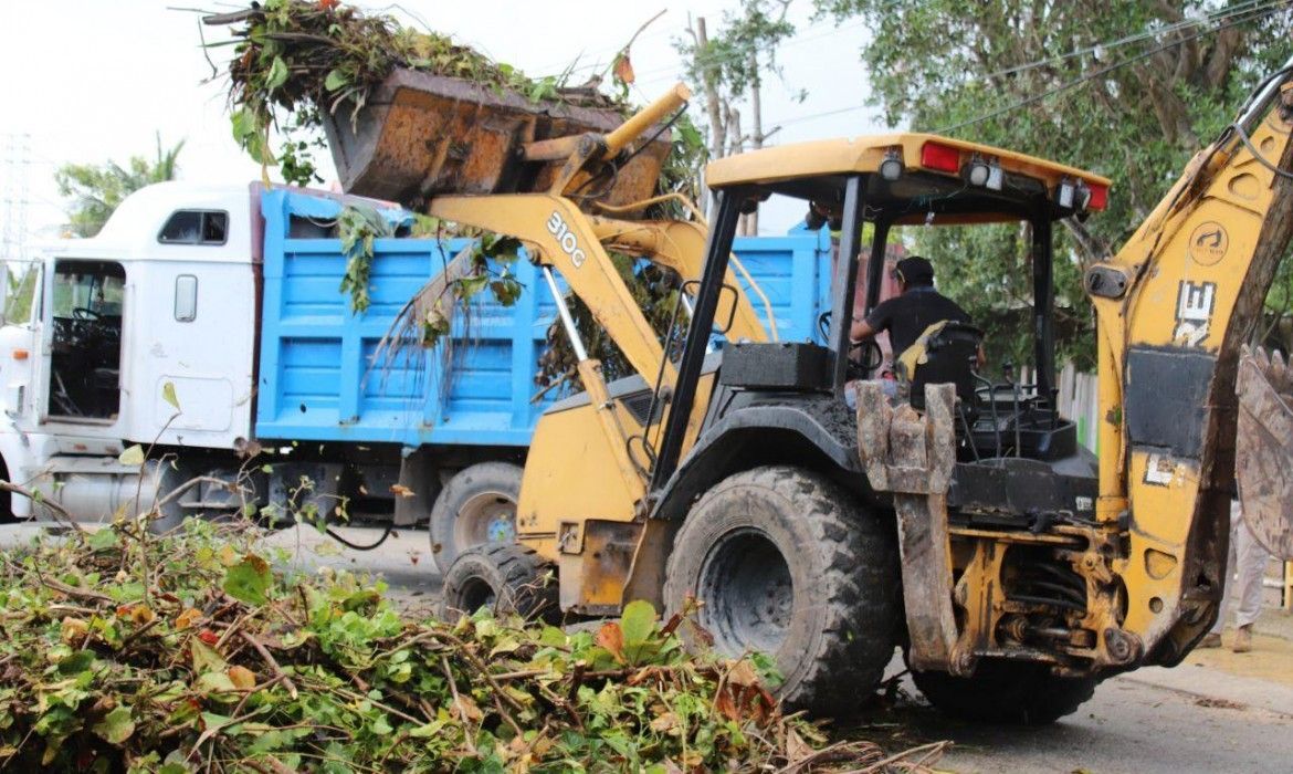 Dice Laura Fernández que se retiraron 2100 toneladas de material vegetal en Puerto Morelos luego del paso de Delta