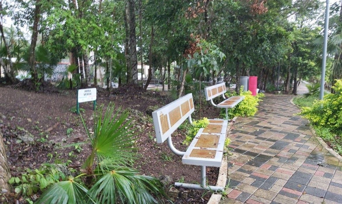 “Continúan brigadas de limpieza labores en Puerto Morelos”: Laura Fernández