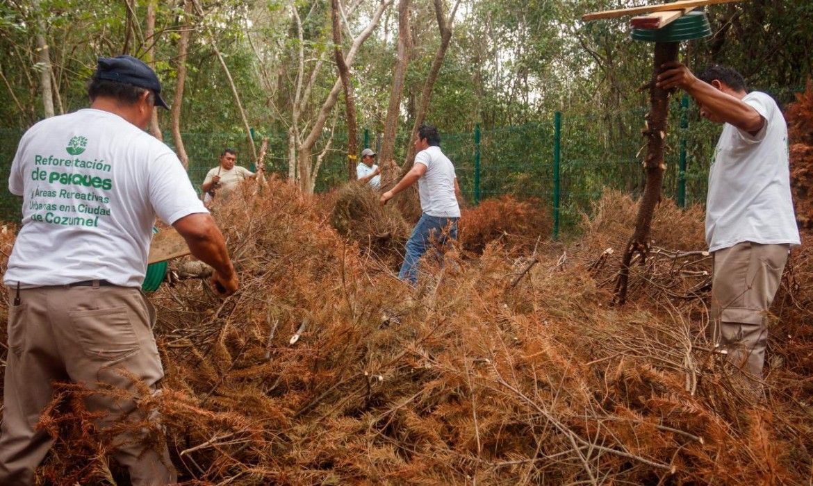 Fortalece Gobierno de Pedro Joaquín acciones sustentables por un mejor Cozumel