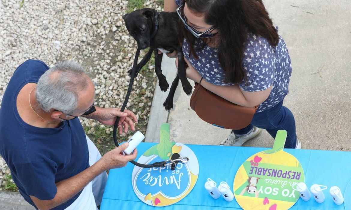 Realiza Gobierno de Benito Juárez segunda campaña de adopción canina